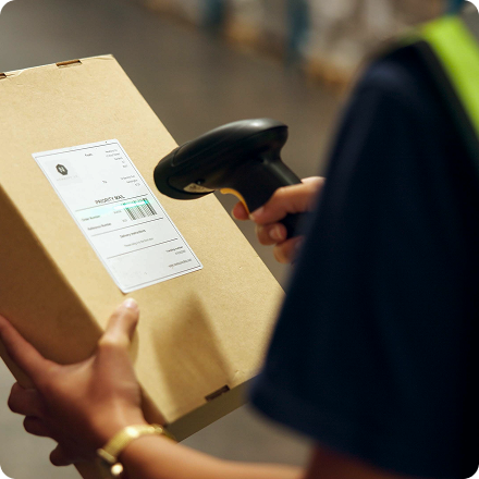 Pick, Pack & Dispatch